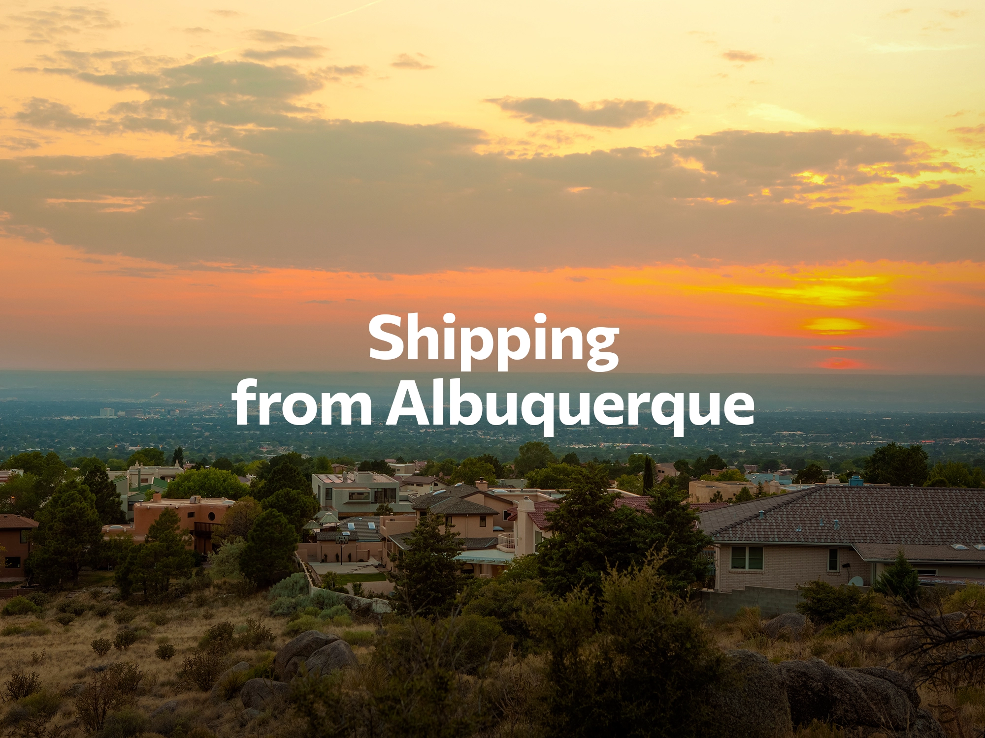 Shipping company from Albuquerque, freight rates for FTL and LTL shipping in Albuquerque