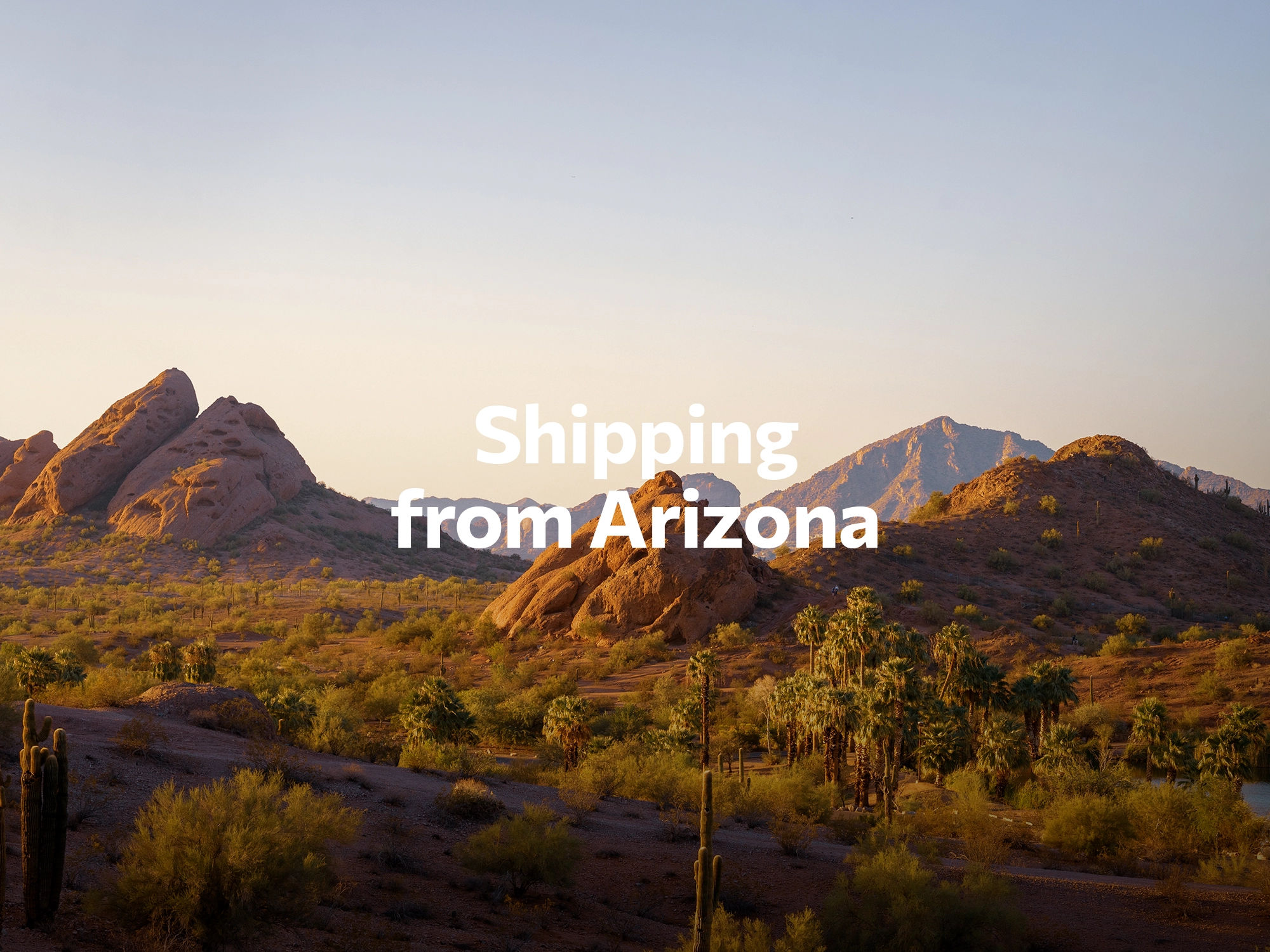 Shipping company from Arizona, freight rates for FTL and LTL shipping in Arizona