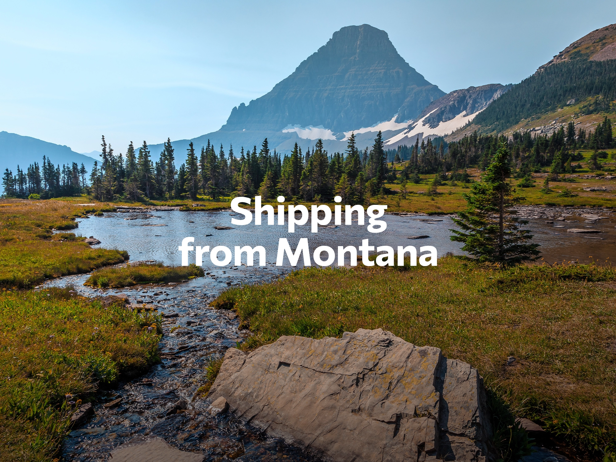 Shipping company from Montana, freight rates for FTL and LTL shipping in Montana