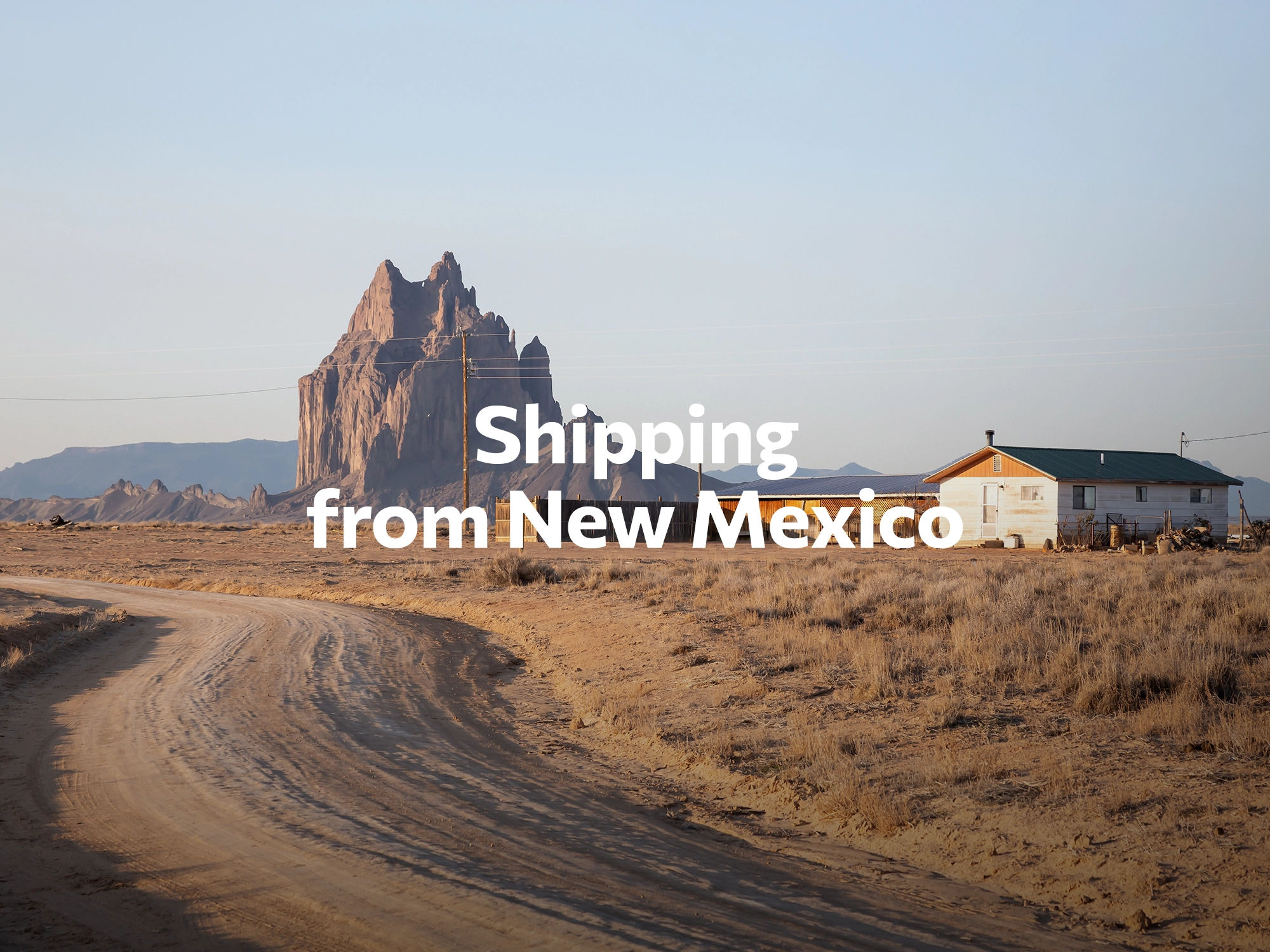 Shipping company from New Mexico, freight rates for FTL and LTL shipping in New Mexico