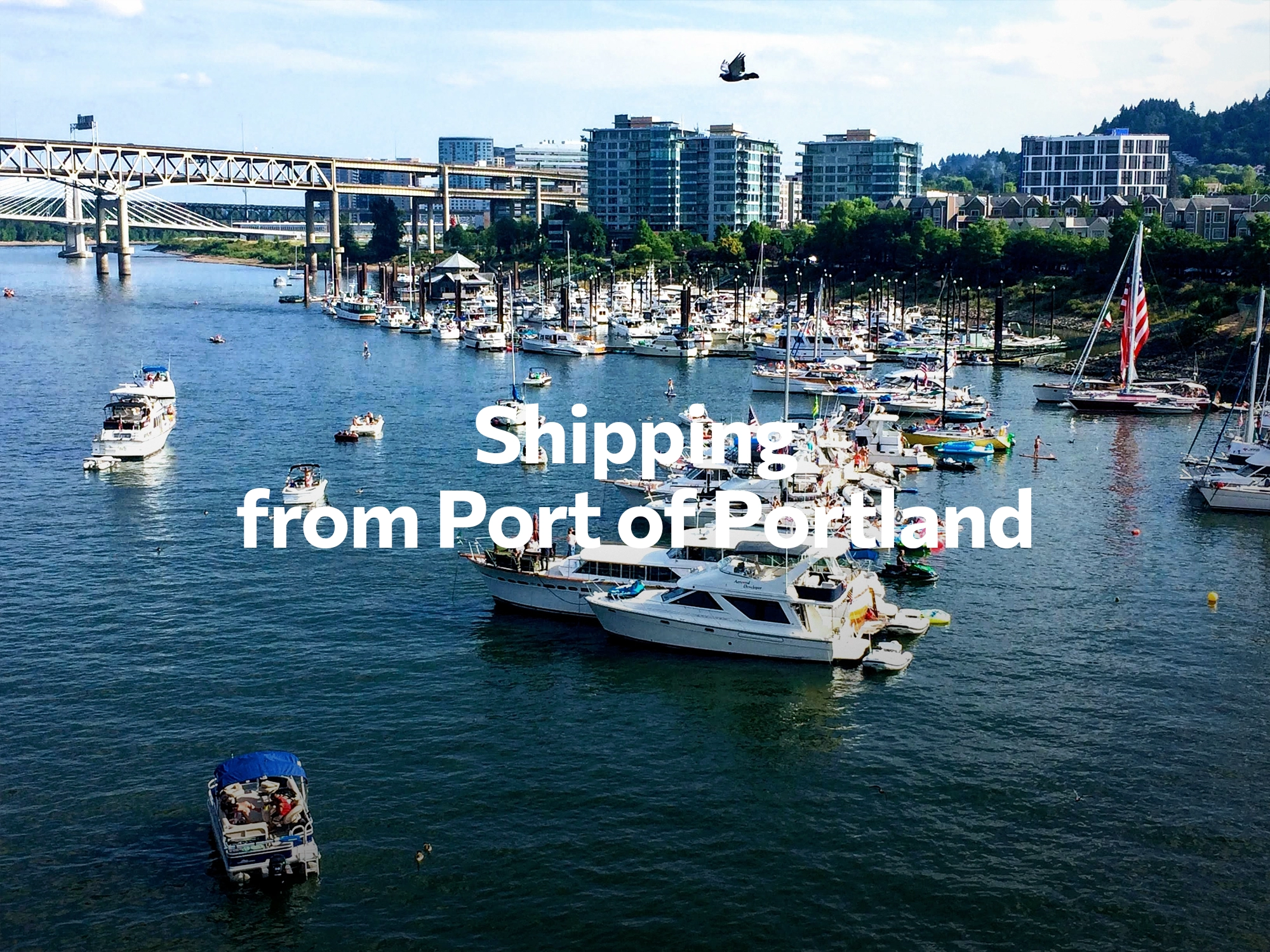 Shipping company from Port of Portland, freight rates for FTL and LTL shipping in Port of Portland