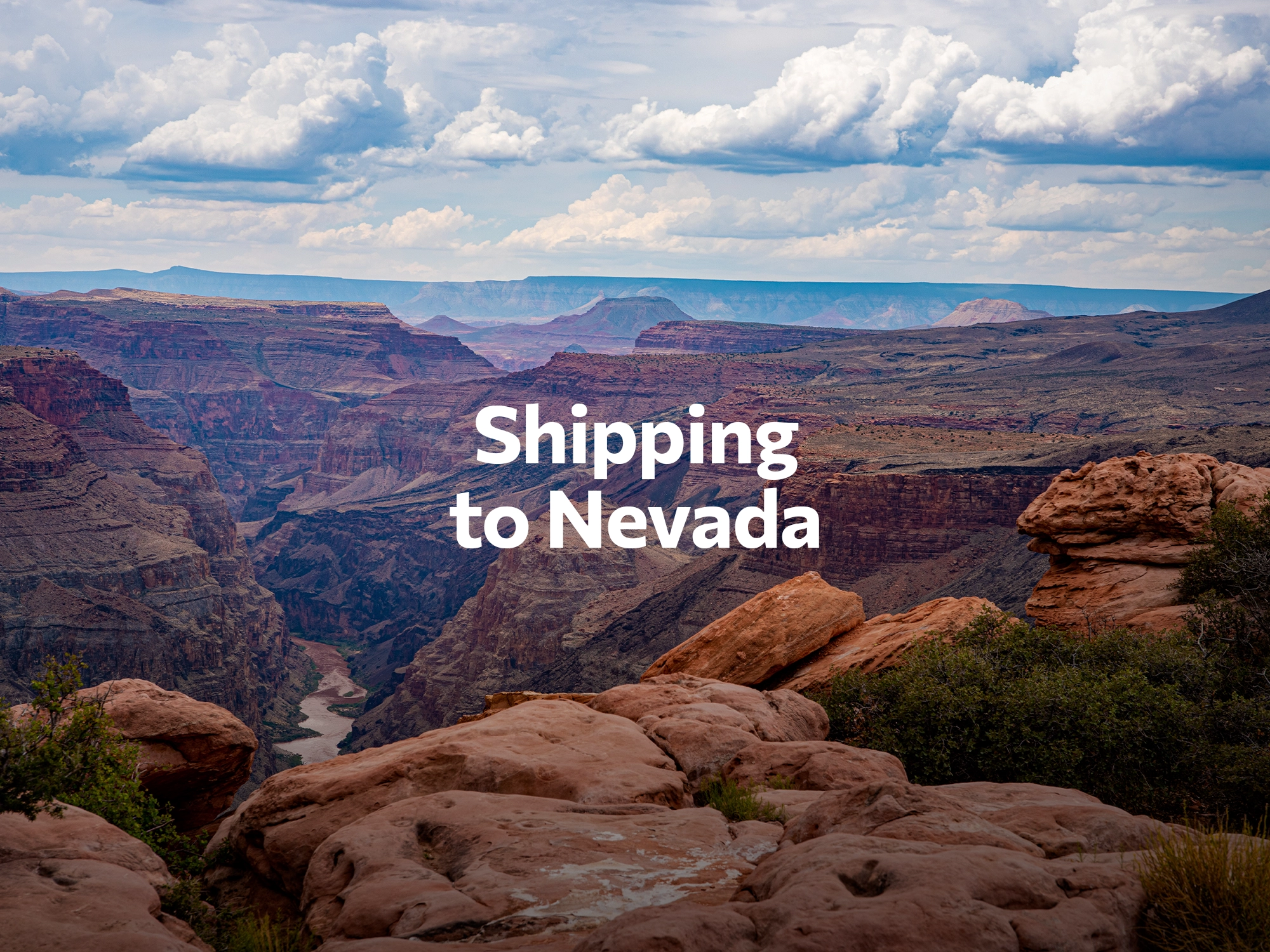 Shipping company to Arizona, freight rates for FTL and LTL shipping in Arizona